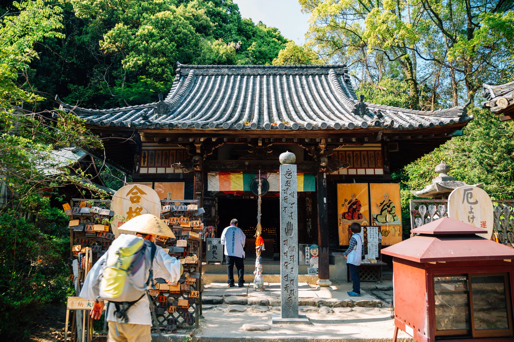 Timeless Artistry from Japan